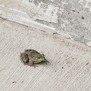 Meet your Posher, Ruben